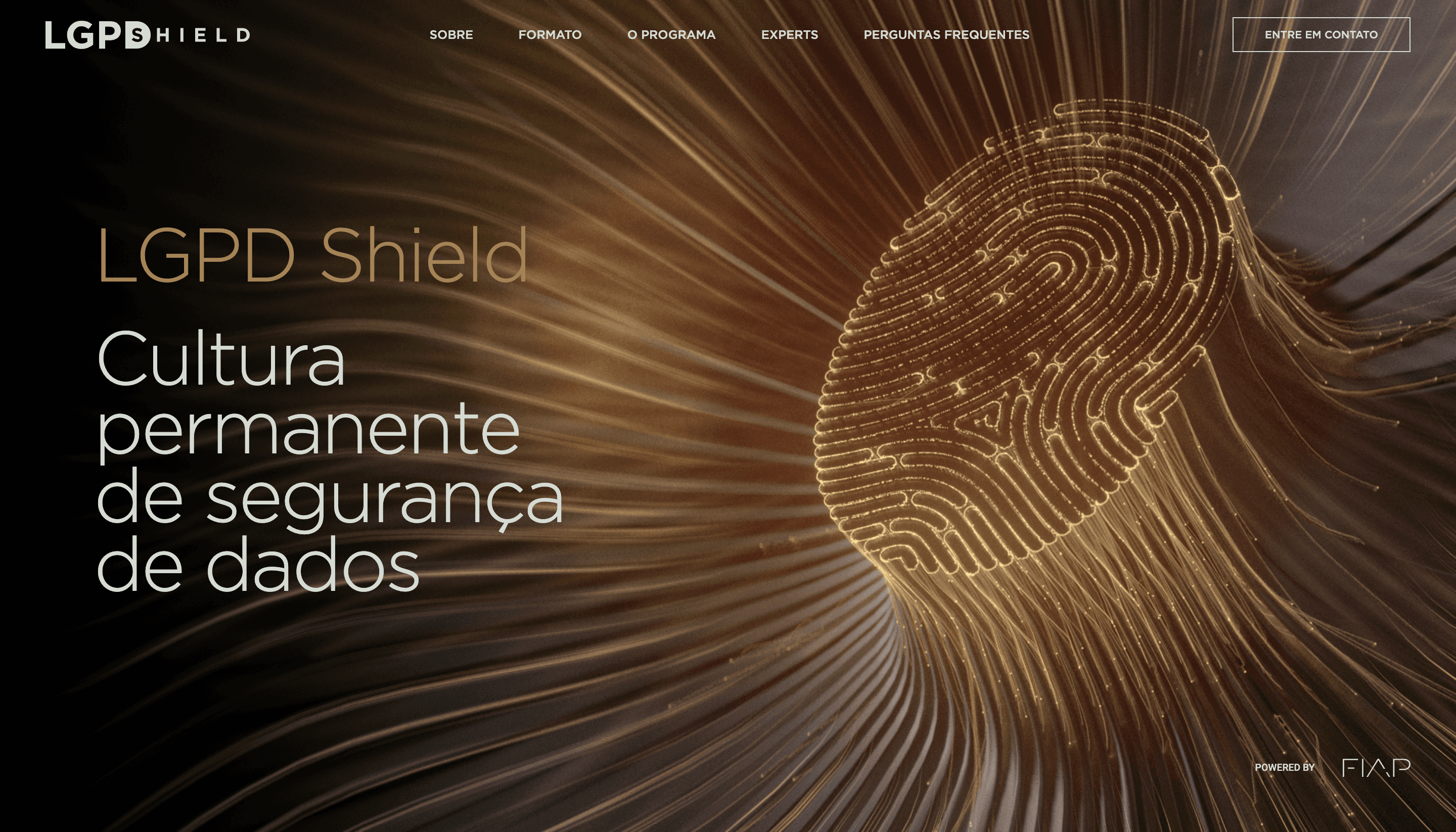 LGPD Shield